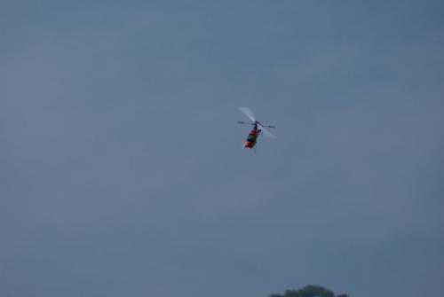 SONY DSC