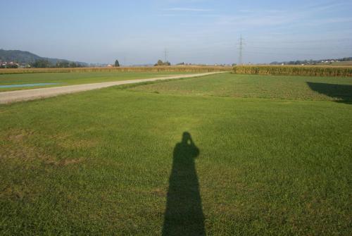 SONY DSC