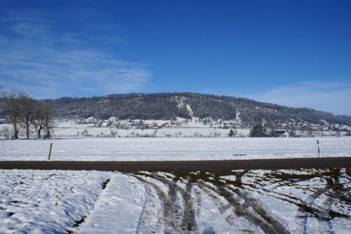 SONY DSC