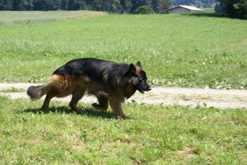 SONY DSC