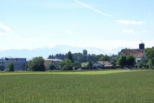 SONY DSC