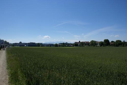 SONY DSC