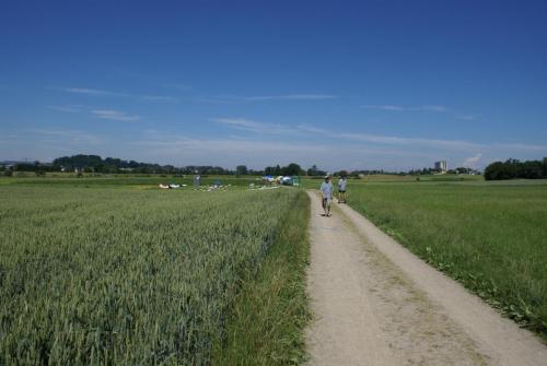 SONY DSC