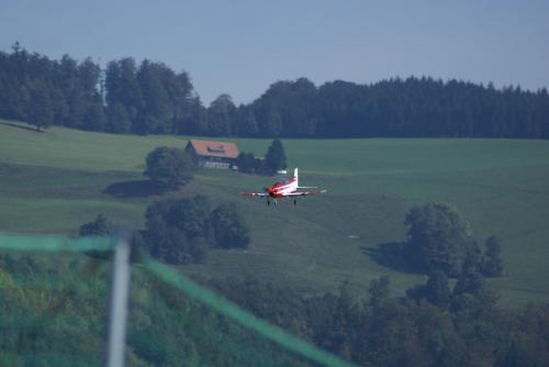 SONY DSC