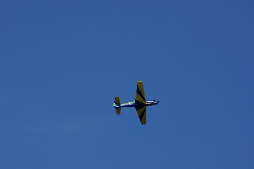 SONY DSC