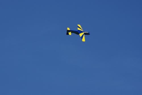 SONY DSC
