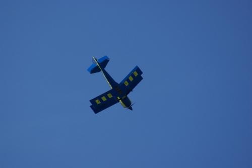 SONY DSC