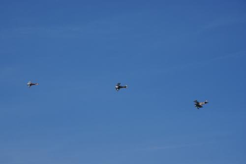 SONY DSC