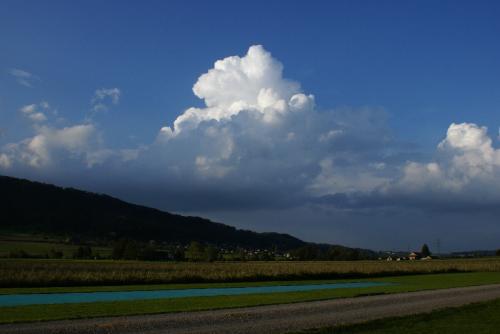 SONY DSC