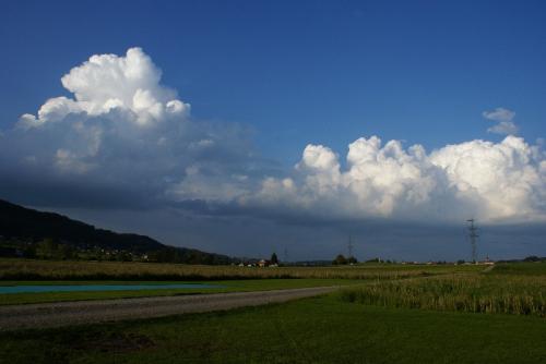 SONY DSC