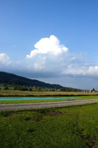 SONY DSC