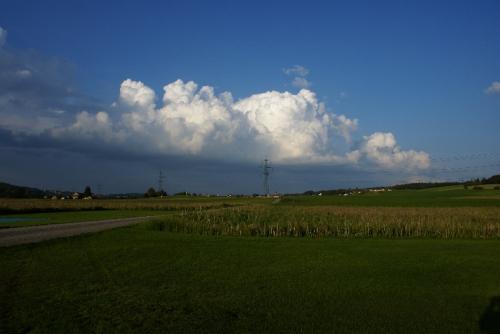 SONY DSC