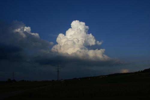 SONY DSC