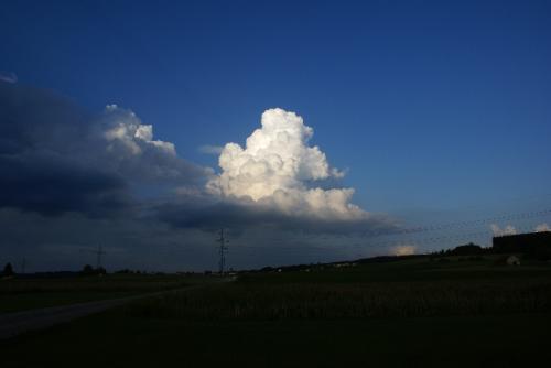 SONY DSC