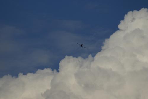 SONY DSC