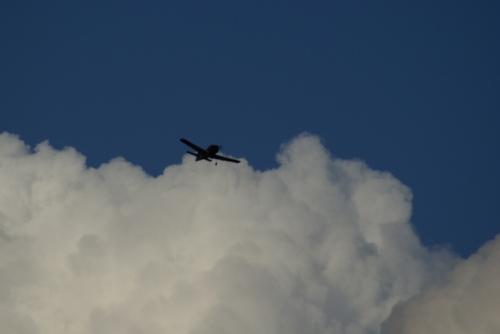 SONY DSC