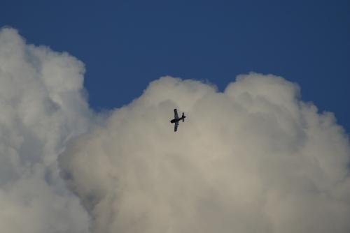 SONY DSC