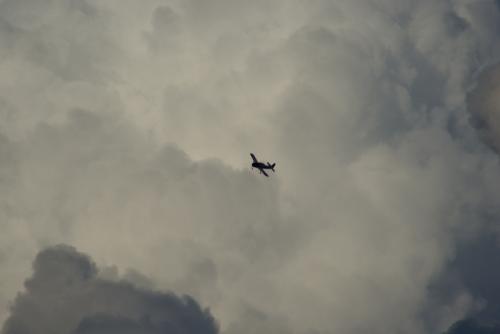 SONY DSC