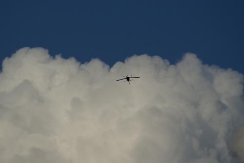 SONY DSC