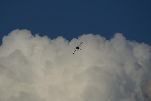 SONY DSC