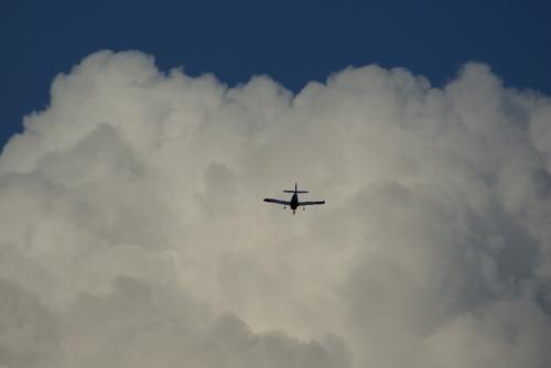 SONY DSC