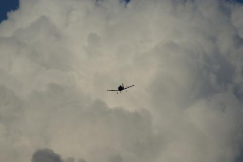 SONY DSC