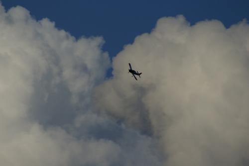SONY DSC