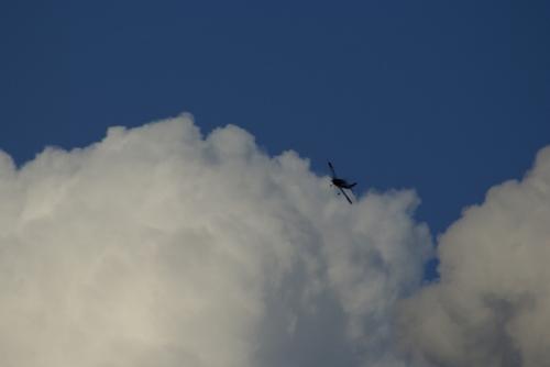 SONY DSC