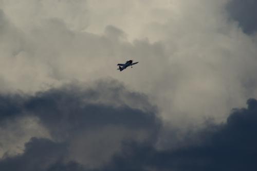 SONY DSC
