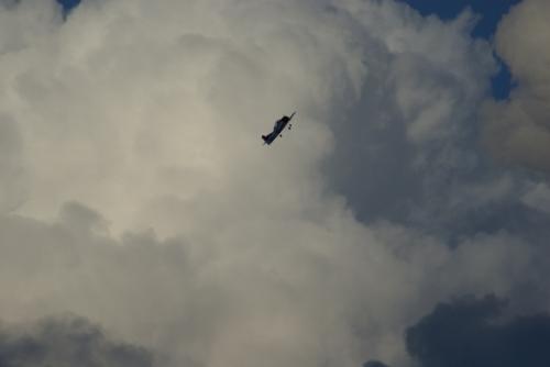 SONY DSC