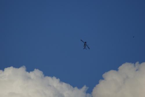 SONY DSC