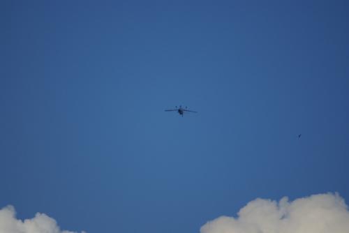 SONY DSC