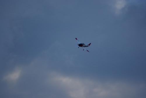 SONY DSC