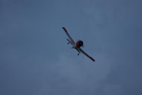 SONY DSC