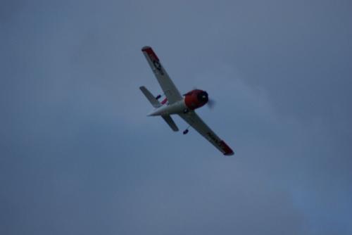 SONY DSC
