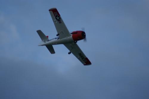 SONY DSC