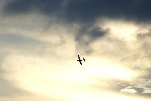 SONY DSC