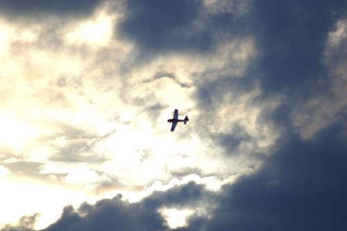 SONY DSC