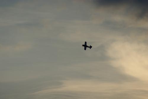 SONY DSC