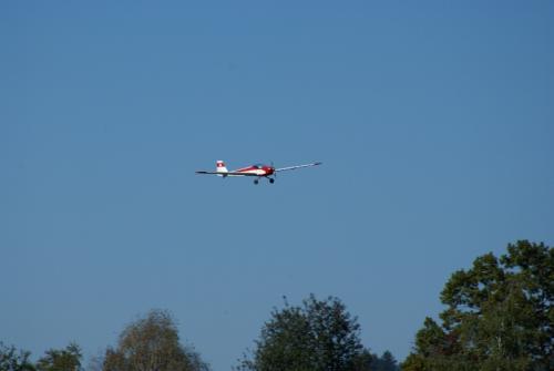 SONY DSC