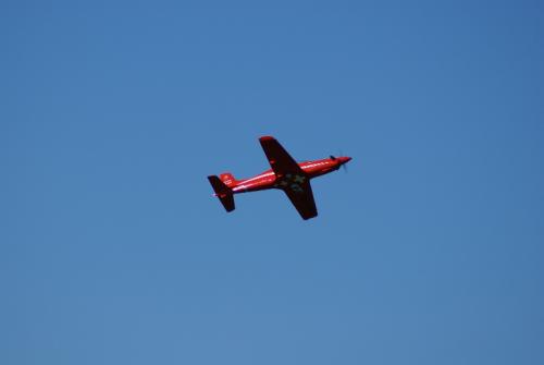 SONY DSC