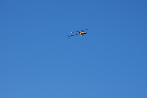 SONY DSC