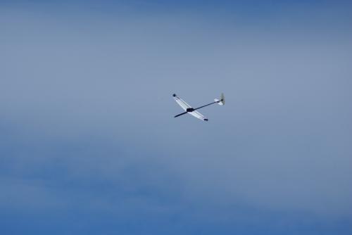 SONY DSC