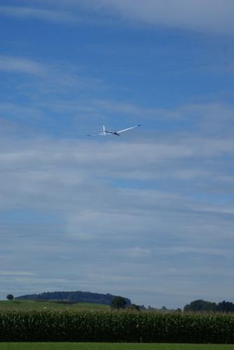 SONY DSC