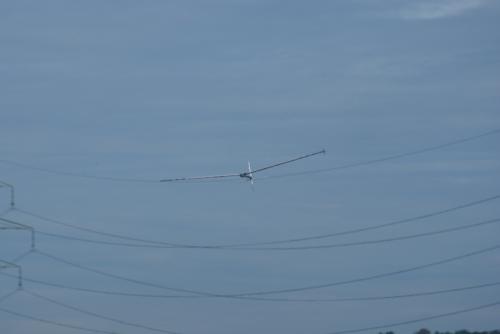 SONY DSC