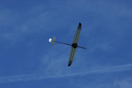 SONY DSC