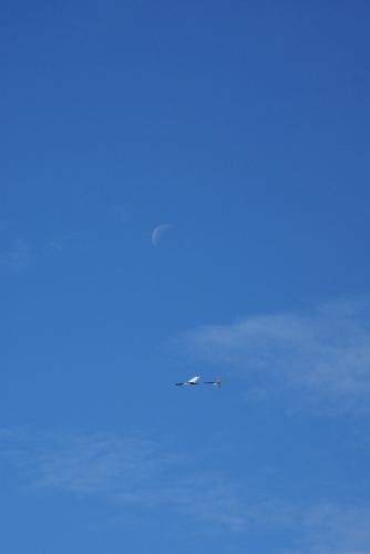 SONY DSC