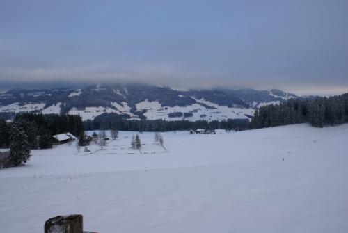 SONY DSC
