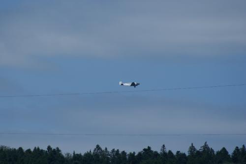 SONY DSC