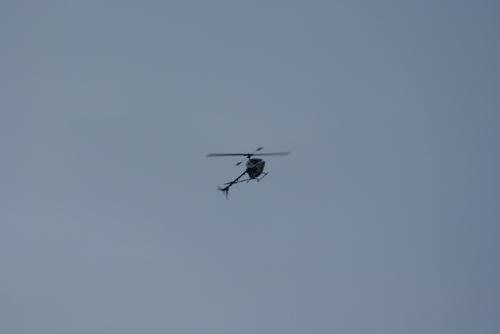 SONY DSC